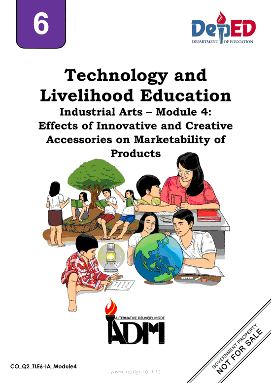 TLE 6 Industrial Arts – Module 4: Effects of Innovative and Creative Accessories on Marketability of Products